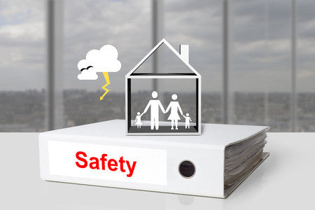 Safety Management System Template